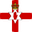 Northern Ireland Charity Shield