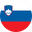 Slovenia 1. Mladinska Liga