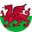 Wales FA Cup