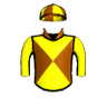 Irish Guard