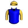 Underwriter