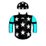 Dark Vector