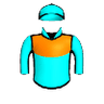 Racing Driver