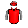 Sandscreendeliverd