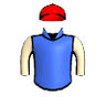 Subsanador