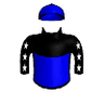 Plagarist
