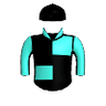 Notamistake