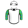 Rr Garavani Cartel