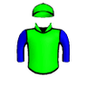 Honor The Bull