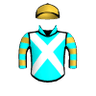 Mister Meseeks