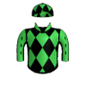 Starship Magellan