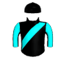 Artist Mark