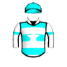 Mister Spitfire