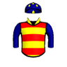 Kodiak Bear