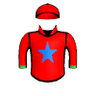 Housebuster Dude