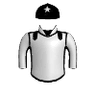 Steadfast Soldier