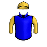 Underwriter