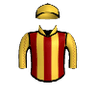 Battle Winner