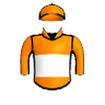 Noble Tiger