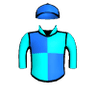 Tour Pro