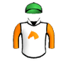 Snowglobe