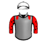 Regal Knight