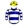 Kentucky Bluebird
