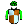 Lady Harlequin