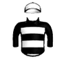 Silver Agent