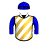 Night Tiger