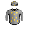 Champion Warrior