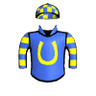 Radiant Knight