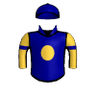 Littleyellowjacket
