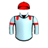 Cicconi Rain