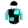 Notamistake
