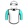 Mystery Alibi