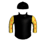 Lizs Image