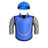 Saratoga Daisy