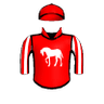 Housebuster Dude
