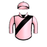 Hasty Flyer