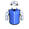 Copartner Pegasus