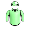 Metallic Ruler