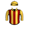 Battle Winner