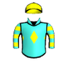 Celtic Prince