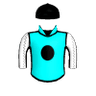 Mulgowie