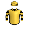 Respirator