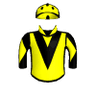 Dream Shaper