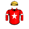 Chief Commander