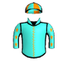 Shiny Bob