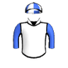 Silver Maid